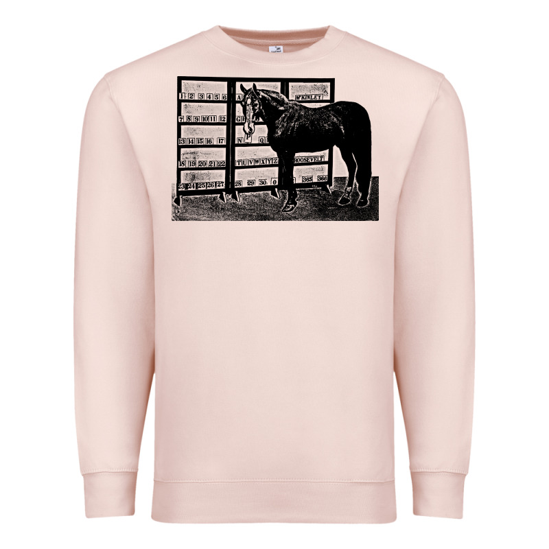 Beautiful Jim Key  Performing Horse Premium Sweatshirt by linhVisuals | Teevron