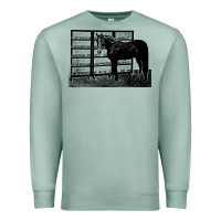 Seafoam beautiful jim key  performing horse Premium Sweatshirt - linhVisuals