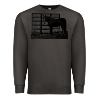 Smoke beautiful jim key  performing horse Premium Sweatshirt - linhVisuals