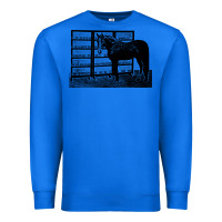True Royal beautiful jim key  performing horse Premium Sweatshirt - linhVisuals
