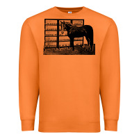 Carrot beautiful jim key  performing horse Premium Sweatshirt - linhVisuals