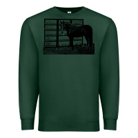 Sports Green beautiful jim key  performing horse Premium Sweatshirt - linhVisuals
