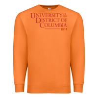 Carrot University of the District of Columbia Premium Sweatshirt - linhVisuals