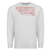 Dove Grey University of the District of Columbia Premium Sweatshirt - linhVisuals