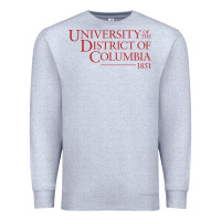 Heather Grey University of the District of Columbia Premium Sweatshirt - linhVisuals