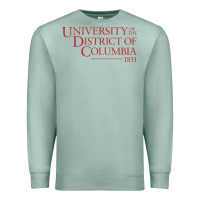 Seafoam University of the District of Columbia Premium Sweatshirt - linhVisuals