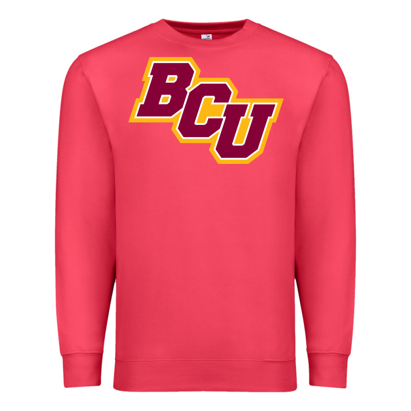 Bethune Cookman Premium Sweatshirt by linhVisuals | Teevron