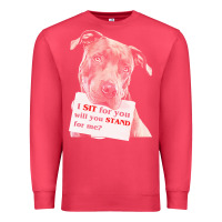 Cardinal pitbull t  shirt i sit for you will you stand for me t  shirt Premium Sweatshirt - linhVisuals