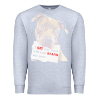 Heather Grey pitbull t  shirt i sit for you will you stand for me t  shirt Premium Sweatshirt - linhVisuals