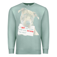 Seafoam pitbull t  shirt i sit for you will you stand for me t  shirt Premium Sweatshirt - linhVisuals