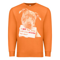 Carrot pitbull t  shirt i sit for you will you stand for me t  shirt Premium Sweatshirt - linhVisuals