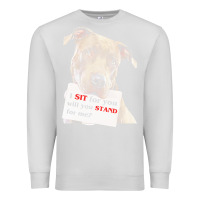 Dove Grey pitbull t  shirt i sit for you will you stand for me t  shirt Premium Sweatshirt - linhVisuals