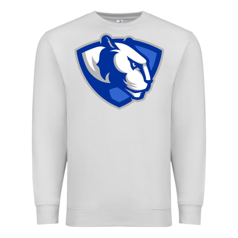 Eastern Illinois Panthers Premium Sweatshirt by linhVisuals | Teevron