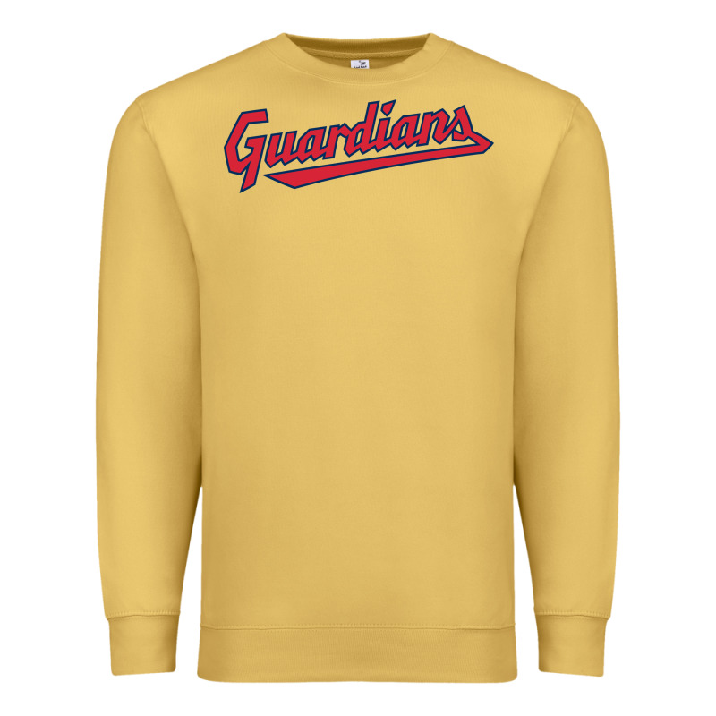 Guardians Premium Sweatshirt by linhVisuals | Teevron