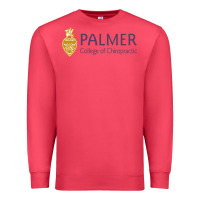 College Of Chiropractic Premium Sweatshirt | Teevron
