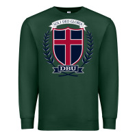 Sports Green db Premium Sweatshirt - linhVisuals