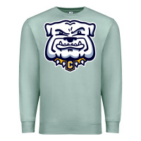 Seafoam chelse bulldogs Premium Sweatshirt - linhVisuals