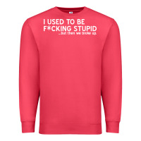 Cardinal i used to be f cking stupid Premium Sweatshirt - linhVisuals