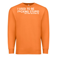 Carrot i used to be f cking stupid Premium Sweatshirt - linhVisuals