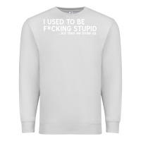 Dove Grey i used to be f cking stupid Premium Sweatshirt - linhVisuals