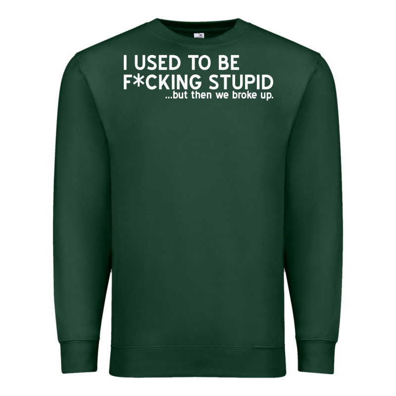 I Used To Be F Cking Stupid Premium Sweatshirt by linhVisuals | Teevron