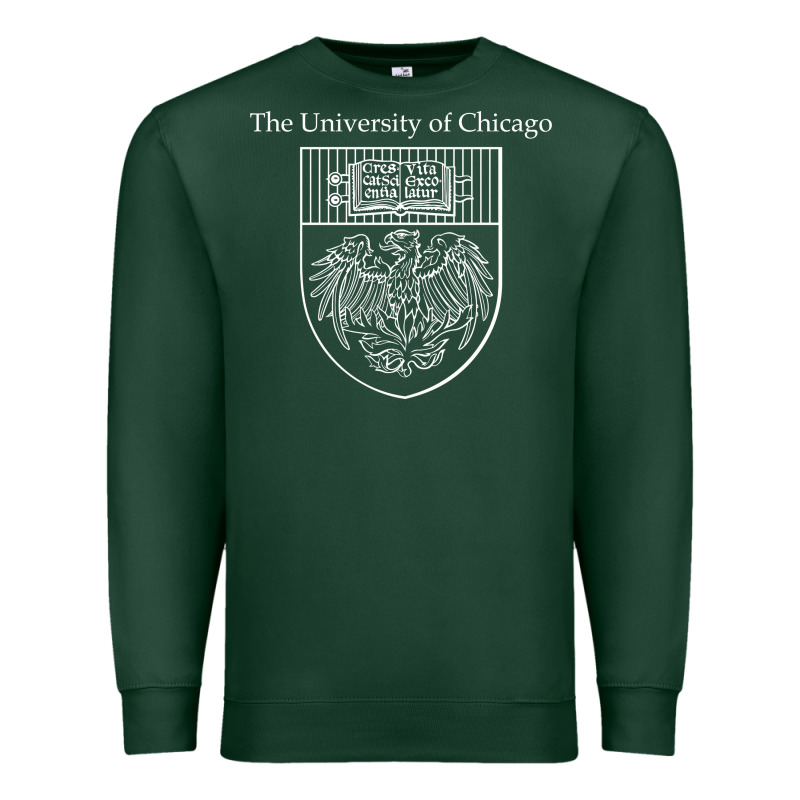 Chicago Premium Sweatshirt by linhVisuals | Teevron