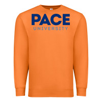 Carrot Pace University Premium Sweatshirt - linhVisuals