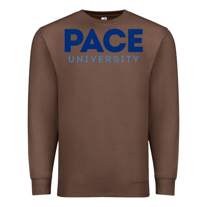 Pace University Premium Sweatshirt by linhVisuals | Teevron