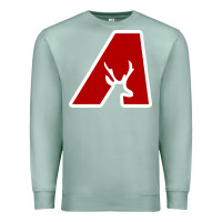 Avonworth High School Premium Sweatshirt | Teevron