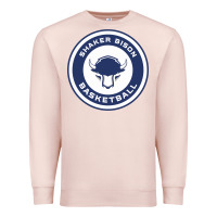 Pale Pink shaker basket ball Premium Sweatshirt - linhVisuals