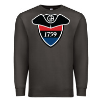 Smoke germantown academy Premium Sweatshirt - linhVisuals
