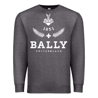Charcoal Heather bally Premium Sweatshirt - linhVisuals