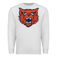 Evanston Township High School Premium Sweatshirt | Teevron