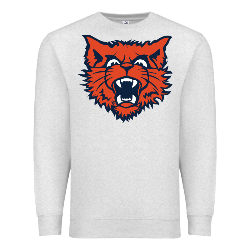 Evanston Township High School Premium Sweatshirt by linhVisuals | Teevron