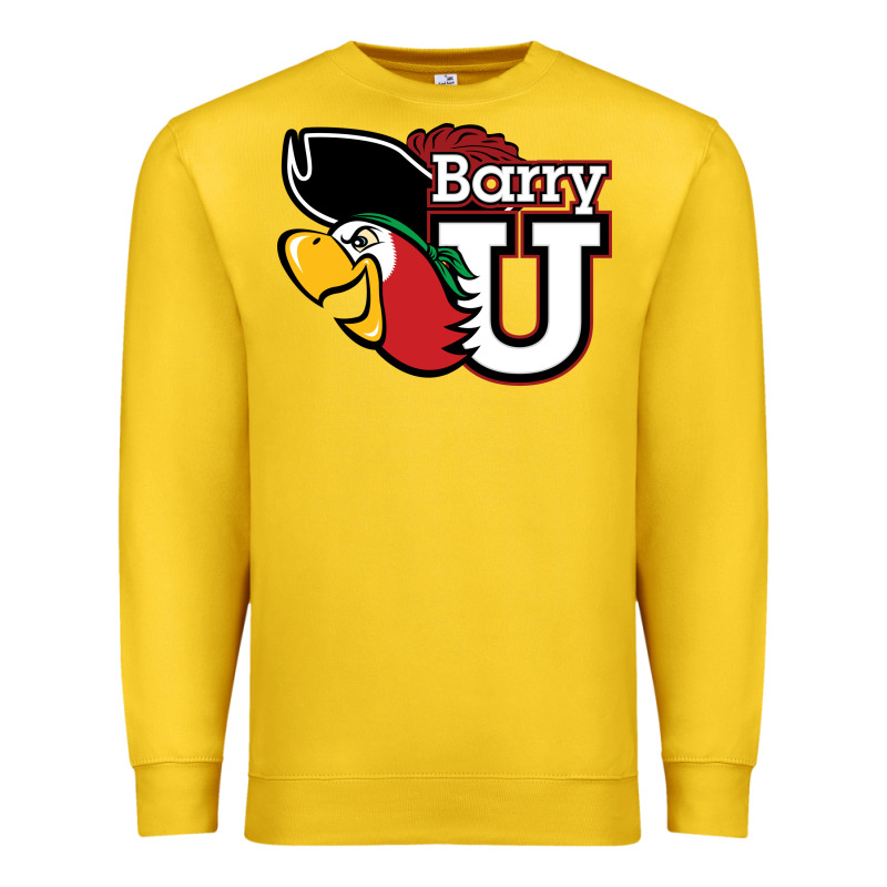 Barry Premium Sweatshirt by linhVisuals | Teevron