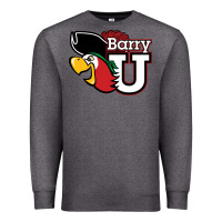 Charcoal Heather barry Premium Sweatshirt - linhVisuals