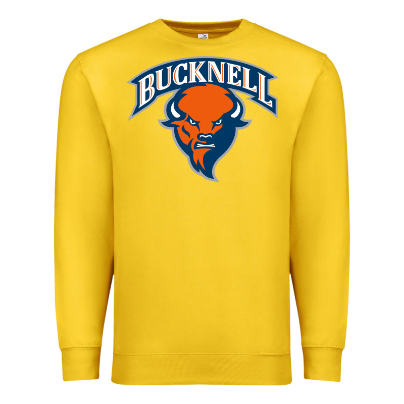 Bucknell Premium Sweatshirt by linhVisuals | Teevron