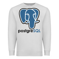 Dove Grey Postgresql Premium Sweatshirt - linhVisuals