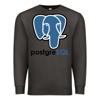Smoke Postgresql Premium Sweatshirt - linhVisuals