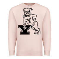 Pale Pink yale vintage Premium Sweatshirt - linhVisuals