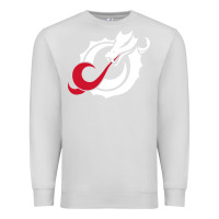 Dove Grey MSUM Dragons, Gear Premium Sweatshirt - linhVisuals