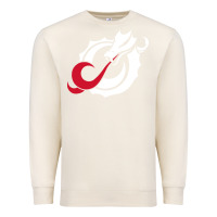 Sandshell MSUM Dragons, Gear Premium Sweatshirt - linhVisuals