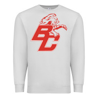 Dove Grey boyd county high school baseball Premium Sweatshirt - linhVisuals