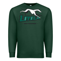 Sports Green loyola (md) greyhounds Premium Sweatshirt - linhVisuals
