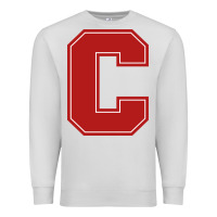 Dove Grey cornell big red Premium Sweatshirt - linhVisuals