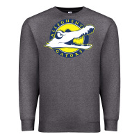Charcoal Heather allegheny merch Premium Sweatshirt - linhVisuals