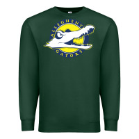 Sports Green allegheny merch Premium Sweatshirt - linhVisuals