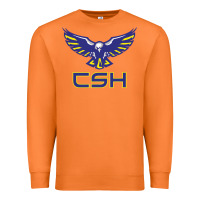 Carrot cold springs high school Premium Sweatshirt - linhVisuals