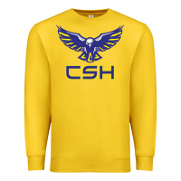Cold Springs High School Premium Sweatshirt | Teevron