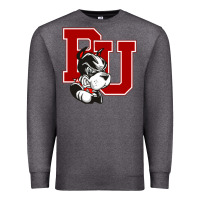 Charcoal Heather bu university terries champion Premium Sweatshirt - linhVisuals